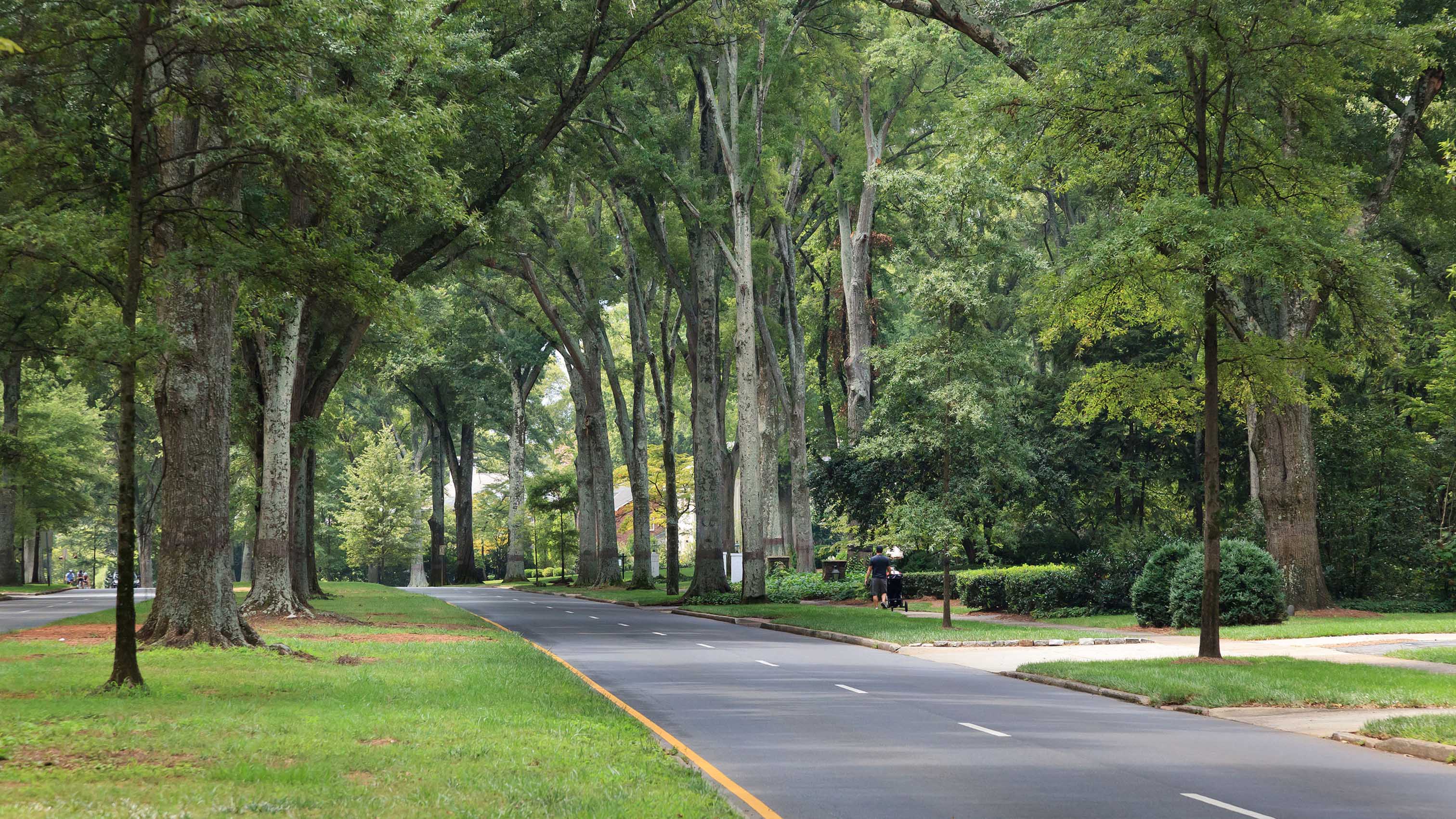 Wine cellar project in Eastover, NC